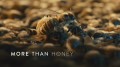 Больше Чем Мёд / More Than Honey (2012) HD