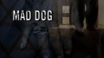 Бешеный пёс: тайный мир Муаммара Каддафи / Mad Dog: Inside the Secret World of Muammar Gaddafi (2014)