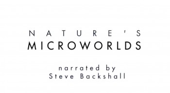BBC Микромиры / Nature's Microworlds 15. Членистоногие. Создание миров (2012)