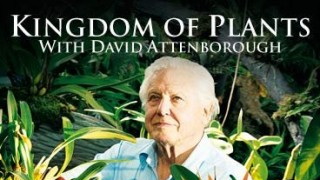 BBC Царство Растений / Kingdom of Plants 2. Раскрывая секреты (2012) HD