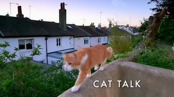 BBC Кошачьи тайны: Язык кошек / Cats uncovered: Cat Talk (2014)