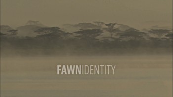Телячьи нежности / Fawn identity (2012)