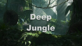 В сердце джунглей / Deep Jungle 1 Новый взгляд (2005) HD
