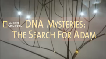 Загадка ДНК: Поиски Адама / DNA Mystery: Search for Adam (2005)