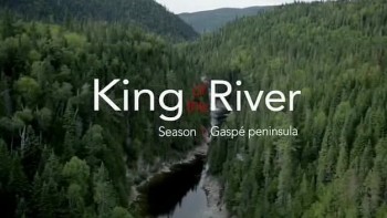 Король Реки Полуостров Гаспе / King of the River. Gaspe Peninsula 01. серия (2015)