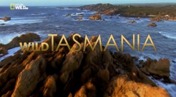 Дикая Тасмания. Страна Дьявола / Wild Tasmania