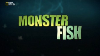 Рыбы-чудовища / Monster Fish / Загадка реки Меконг