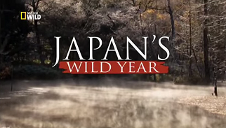 Дикие животные Японии / Japan's Wild Year (2014)