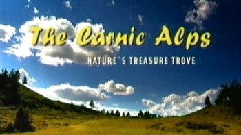 Корнийские Альпы / The Carnic Alps (2007)