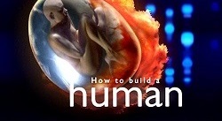 Как построить человека 2 серия / How to build a human (2004)