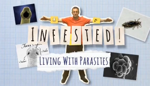 BBC: Зараженный. Жизнь с паразитами / Unfested! Living With Parasites (2014)