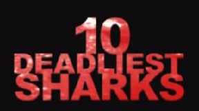 BBC: 10 самых опасных акул 1 серия / Ten Deadliest Sharks (2001)