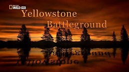 National Geographic. Йеллоустон - поле битвы. Долина Гризли / Yellowstone Battleground. Grizzly Cauldron / 2009