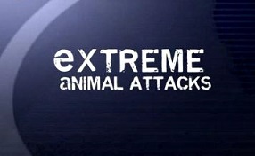 Экстремальные нападения животных / Extreme Animal Attacks (2010) National Geographic