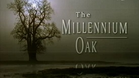 Живой мир. Тысячелетний дуб / The Natural World. The Millenium Oak (2002)