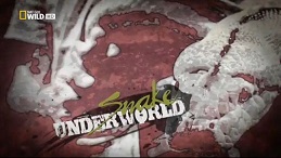 Змеиное подполье / Snake Underworld (2010)