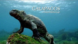 Галапагосы с Дэвидом Аттенборо 4 серия. Как снимался фильм "Галапагосы с Дэвидом Аттенборо" / Galapagos with David Attenborough (2013)