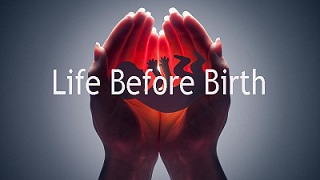 Жизнь до рождения 2 серия. Близнецы / Life Before Birth (2005)