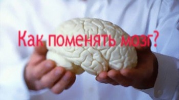 Как поменять мозг? / The Brain (Майк Ширин) (2015)