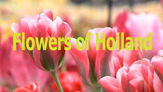 Цветы Голландии (6 эпизодов из 6) / Flowers of Holland (2008)