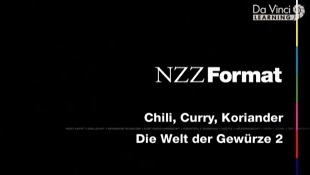 Формат 21 / NZZ Format / Пряности (2006)