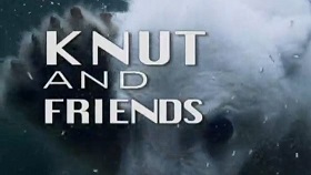 Кнут и его друзья / Knut and his friends (2008)