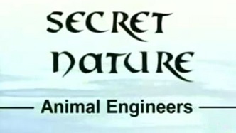 Тайны природы. Архитекторы животного мира / Secret Nature. Animal Engineers (2004)