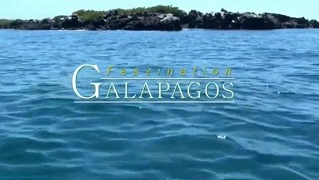 Тайны планеты Земля. Уникальные Галапагосские острова: Южная Америка / S?damerika: Faszination Galapagos (2012)