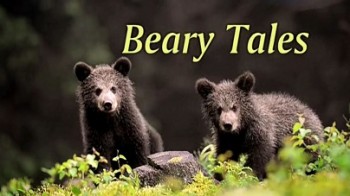 Медвежьи истории / Beary Tales (2014)