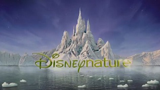 Пурпурные крылья: Тайна фламинго / The Crimson Wing: Mystery of the Flamingos (2008) Disneynature