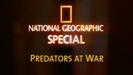 National Geographic. Война хищников / Predators at War (2005)