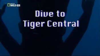 National Geographic. Погружение в царство тигровых акул / National Geographic. Dive to Tiger Central (2007)