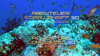 Коралловый риф: 3D Подводный мир Египта / Adventure coral reef 3D: Under the sea of Egypt (2012)