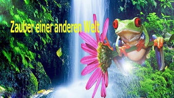 Джунгли - Магия другого мира (Джунгли - Волшебство другого мира) / Der Dschungel - Zauber einer anderen Welt (2012)