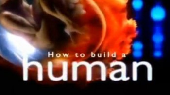 Как сконструировать человека 2 серия. Предсказание / How to build a human (2004)