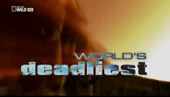 Самые опасные животные: Оружие хищников / World's deadliest: Predator weapons (2010)