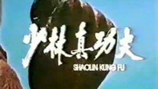 Шаолиньское реальное мастерство (Тайное боевое искусство Шаолиня) / Shaolin Kung Fu (1994)