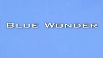 Синее чудо. Попугай в опасности / Blue wonder. A parrot in peril (2009)