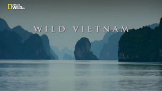 Дикая природа Индокитая Дикий Вьетнам / Wild Vietnam (2015)