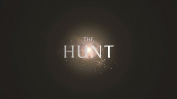 Охота 2 серия. В тисках времен года (Арктика) / The Hunt (2015)