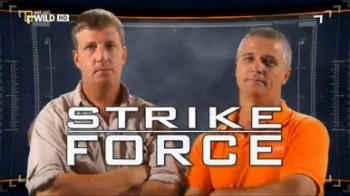 В опасных водах Австралии. обед для акул / Strike force (2010)