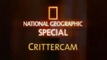 Мир глазами животных / Crittercam (2004)