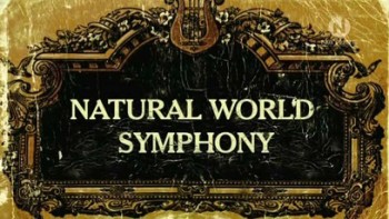 BBC: Симфония мира природы / BBC: Natural World Symphony (2005)