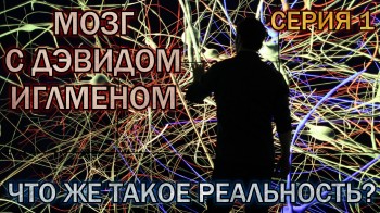 Мозг с Дэвидом Иглменом: Что же такое реальность? / The Brain with David Eagleman (2015)