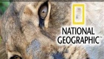 Последняя львица / The Last Lioness (2010)