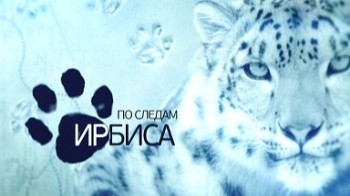 По следам ирбиса (2011)