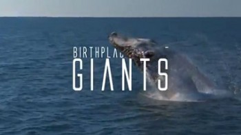 Место рождения гигантов / Birthplace of the Giants (2015)