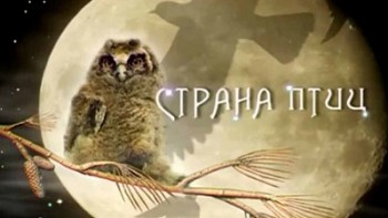 Страна птиц: Соловьиный рай (2015)