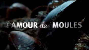 Мидии в любви (Моллюски в любви) / L'amour des moules (Mussels in Love) (2012)