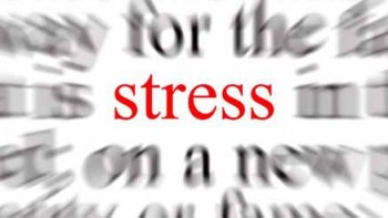 Стресс. Портрет убийцы / Stress. Portrait of a Killer (2008)